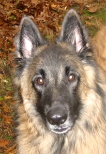 Face like his pappa Max